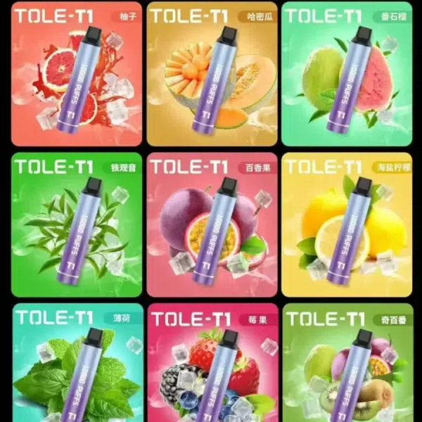 TOLE一次性拋棄式《 10000口 》